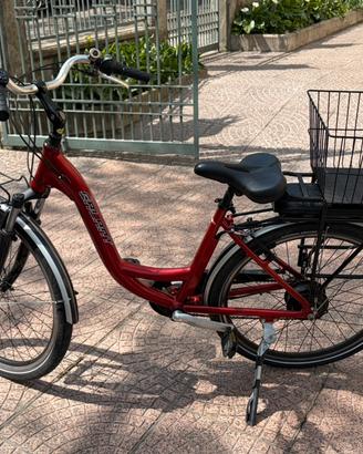 Bicicletta elettrica