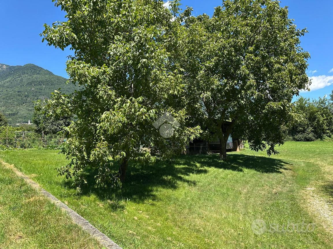 TERRENO A POSTALESIO - Vista 5