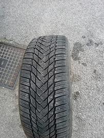 gomme 195/55 R16