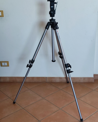 Cavalletto