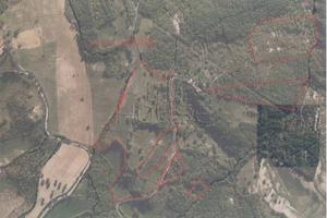 Terreno di 133980 m² a Città di Castello
