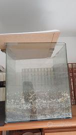 Acquario