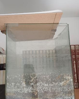 Acquario