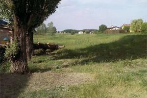 Terreno di 5716 m² a Crevalcore