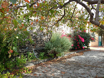 Casa singola 300 mq con giardino