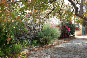 Casa singola 300 mq con giardino