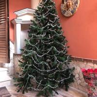 Albero di natale con scatolo