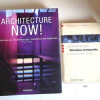 Architecture Now + omaggio Silenziose Avanguardie