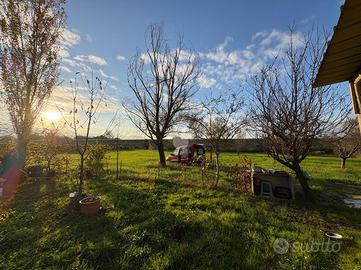 TER. AGRICOLO A PRATO