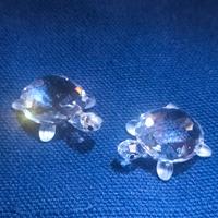 tartarughe cristallo