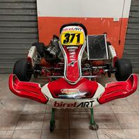 Go kart Birel