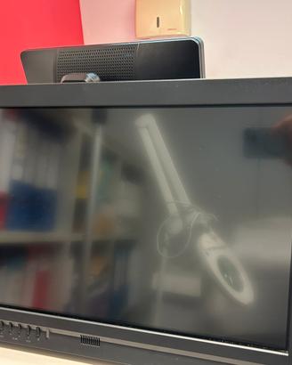 Monitor EIZO