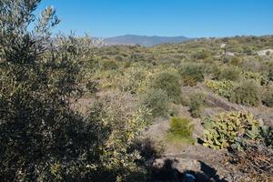 Campagna con pozzo e casotto. Adrano
