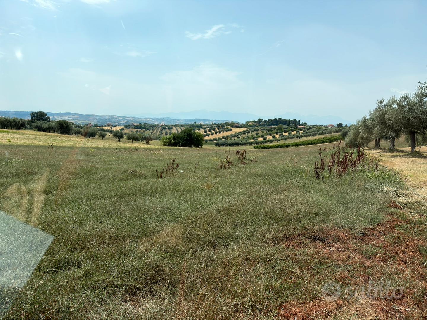 Terreno agricolo pianeggiante - Vista 2