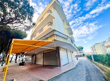 Trilocale/p.milano/100 m dal mare/p.auto/p.spiaggi