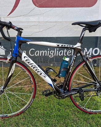 Bicicletta Willer Triestina Thor 