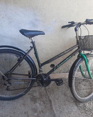 bici mountain bike donna