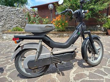 Atala green