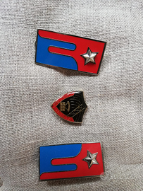 Militaria carristi distintivo piastrine