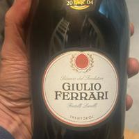 Giulio Ferrari 2004 - Ferrari Perlè 2009 Magnum