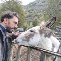 Muraio, posatore di pietre, muratore