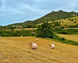 Terreno Agricolo - Luogosanto