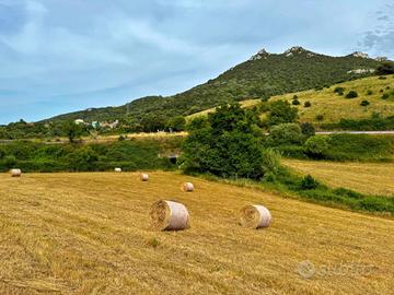 Terreno Agricolo - Luogosanto