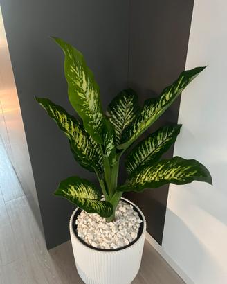 Pianta finta da salotto