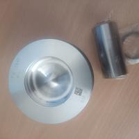 Pistoni Jaguar land Rover 204 dtd dta