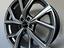 Immagine 7