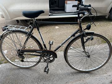 Bici uomo marca Viscontea