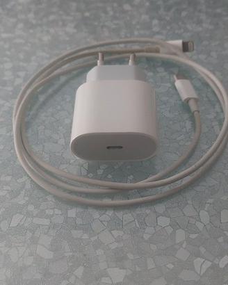 Caricabatterie APPLE carica RAPIDA
