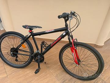 Bicicletta ragazzo casadei