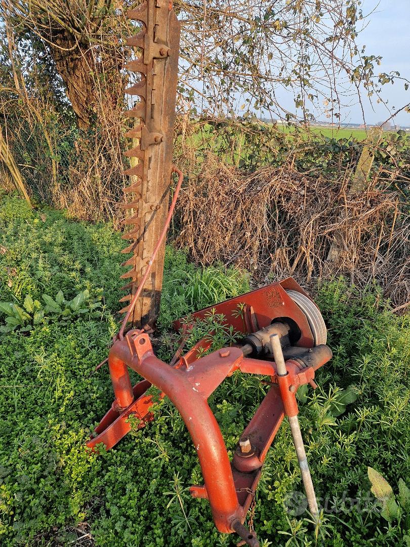 Barra falciante Gribaldi e Salvia - Veicoli commerciali In vendita a Rovigo