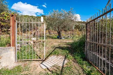 Terreno agricolo - Castiglione di Sicilia