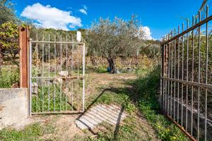 Terreno agricolo - Castiglione di Sicilia