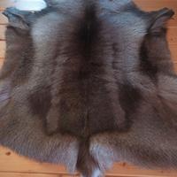 Tappeto di Renna Finlandese