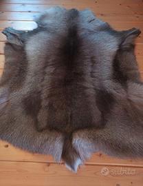 Tappeto di Renna Finlandese