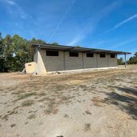 AZIENDA AGRICOLA (Scanzano jonico)