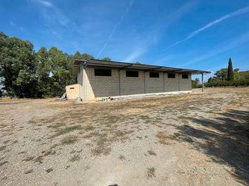 AZIENDA AGRICOLA (Scanzano jonico)