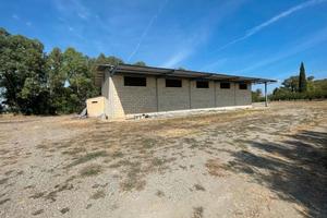 AZIENDA AGRICOLA (Scanzano jonico)