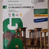 Libro scuola La Radice Storica usato