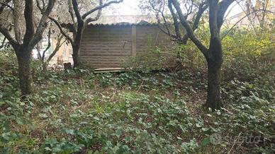 Terreno agric. a Vicopisano