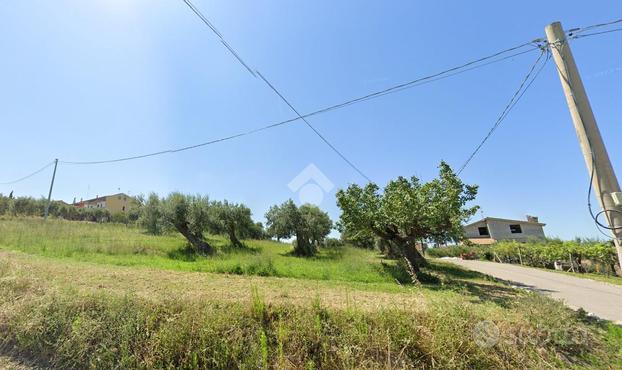 TER. AGRICOLO A MONTENERO DI BISACCIA