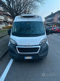 Furgone isotermico Peugeot 2015
