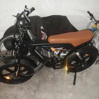 bicicletta elettrica con DUE batterie