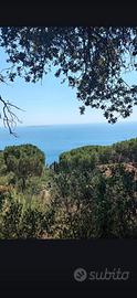 Terreno a S. Stefano ,(GR)
