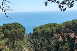 Terreno a S. Stefano ,(GR)