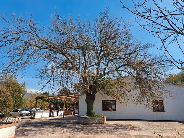 Agriturismo Le Due Querce a Vicari (pa)