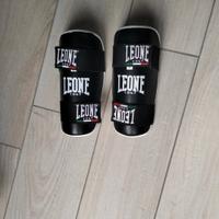 paratibia leone